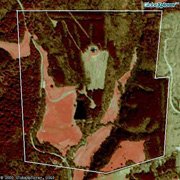 Privacy and Security